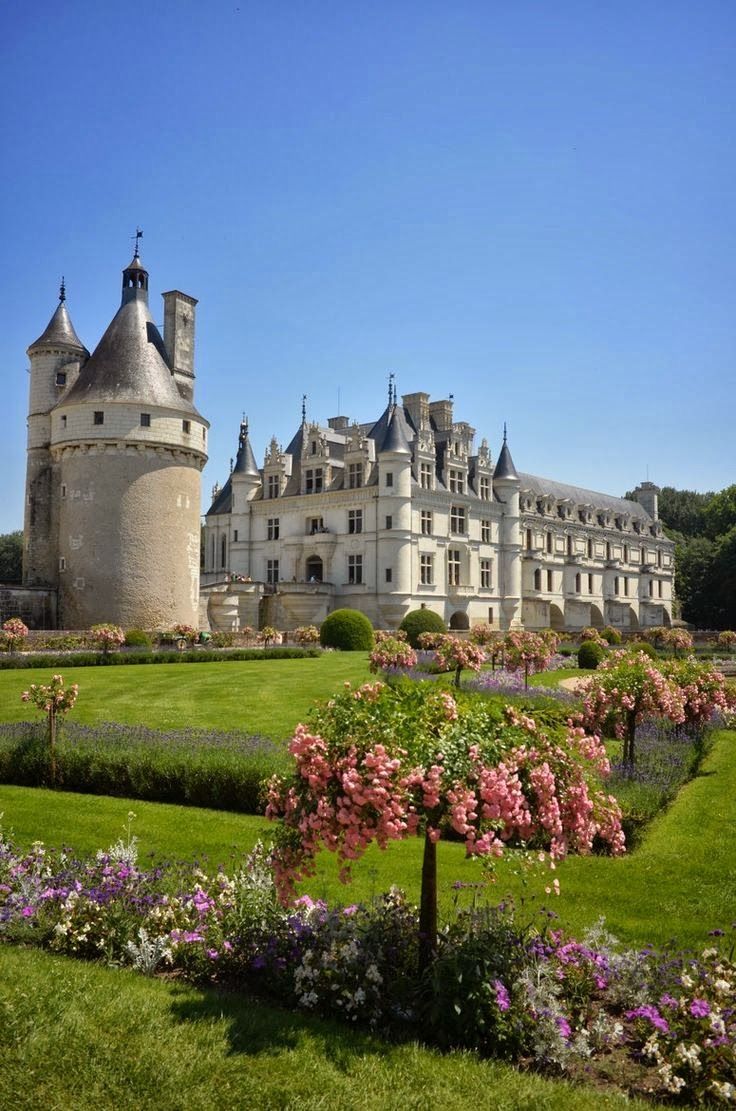 Loire Valley Castles Private Tour - Dream Disney Transfer