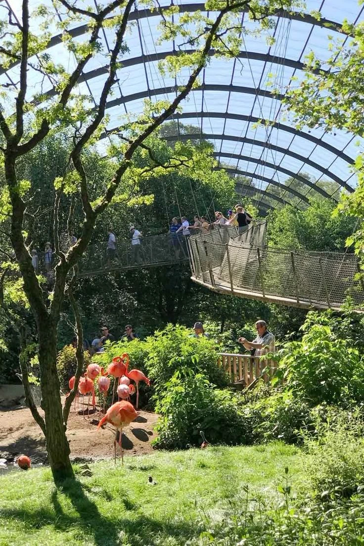 Zoo de Vincennes Paris transfer — Parc Zoologique de Paris private chauffeur