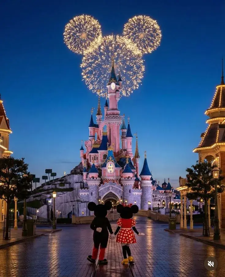 Disneyland Paris private transfer — Dream Disney Transfer VIP chauffeur service