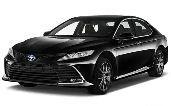 Executive Sedan